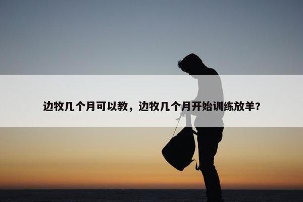 边牧几个月可以教，边牧几个月开始训练放羊?