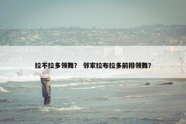 拉不拉多领舞？ 邻家拉布拉多前排领舞？