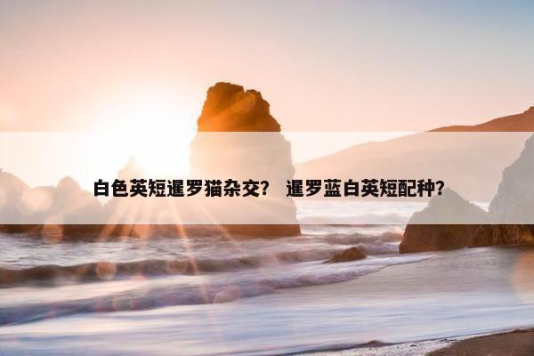 白色英短暹罗猫杂交？ 暹罗蓝白英短配种？