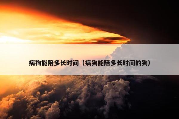 病狗能陪多长时间（病狗能陪多长时间的狗）