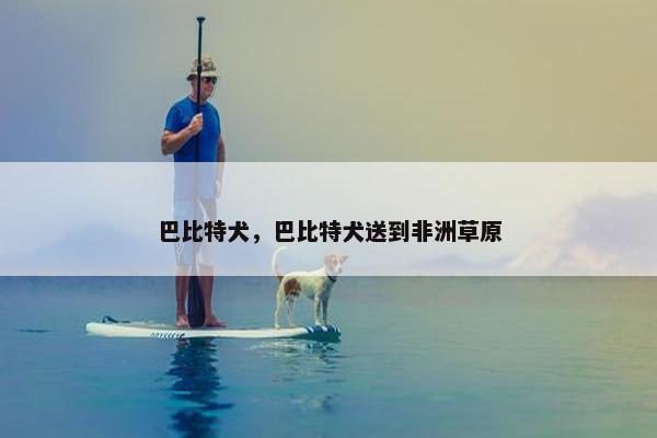 巴比特犬，巴比特犬送到非洲草原