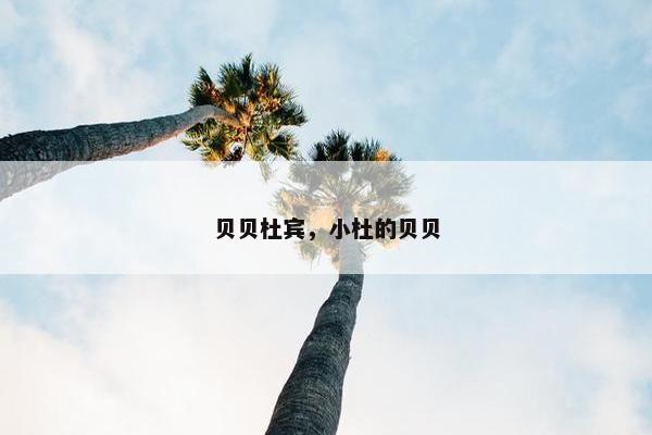 贝贝杜宾，小杜的贝贝