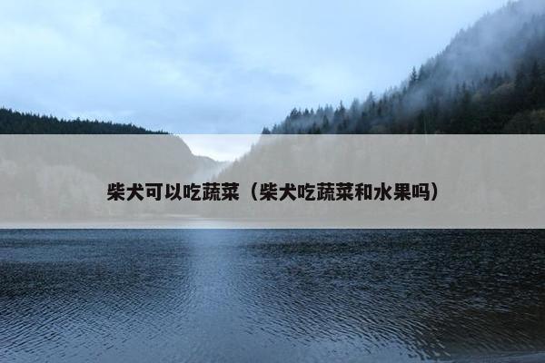 柴犬可以吃蔬菜（柴犬吃蔬菜和水果吗）
