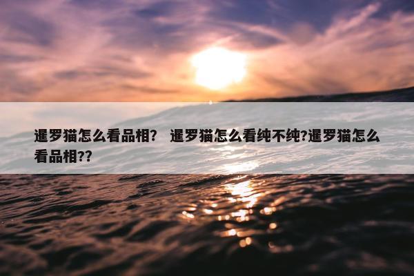 暹罗猫怎么看品相？ 暹罗猫怎么看纯不纯?暹罗猫怎么看品相?？