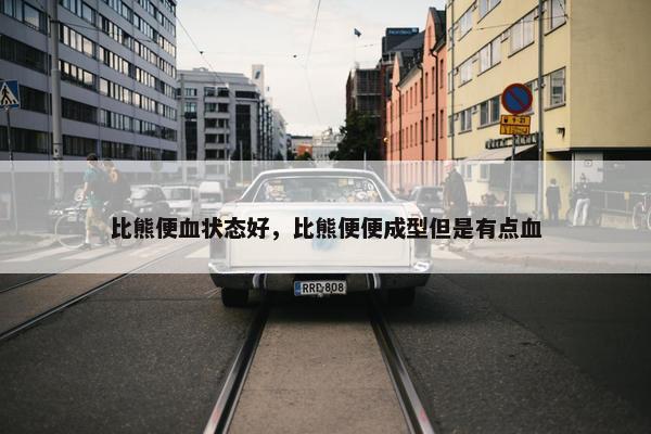 比熊便血状态好，比熊便便成型但是有点血