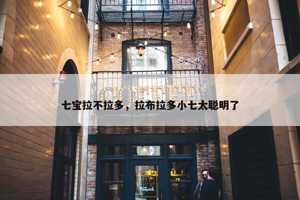 七宝拉不拉多，拉布拉多小七太聪明了