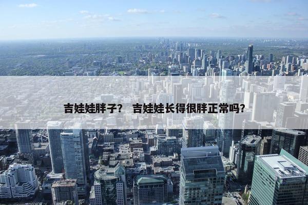 吉娃娃胖子？ 吉娃娃长得很胖正常吗？