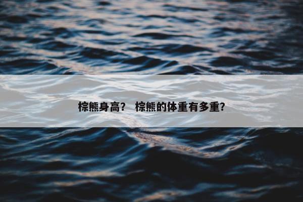 棕熊身高？ 棕熊的体重有多重？