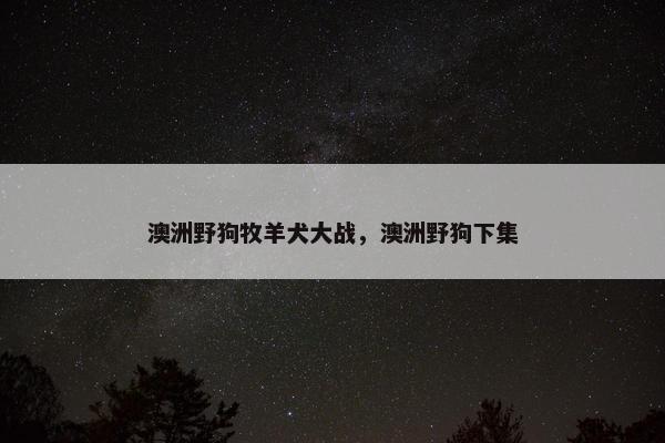 澳洲野狗牧羊犬大战，澳洲野狗下集