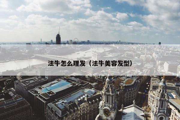 法牛怎么理发（法牛美容发型）