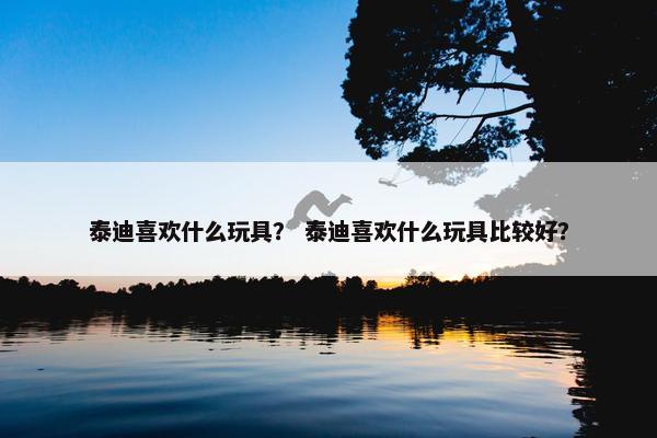 泰迪喜欢什么玩具？ 泰迪喜欢什么玩具比较好？