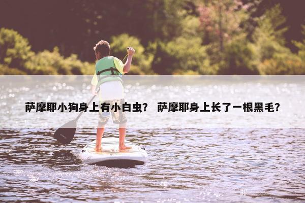萨摩耶小狗身上有小白虫？ 萨摩耶身上长了一根黑毛？