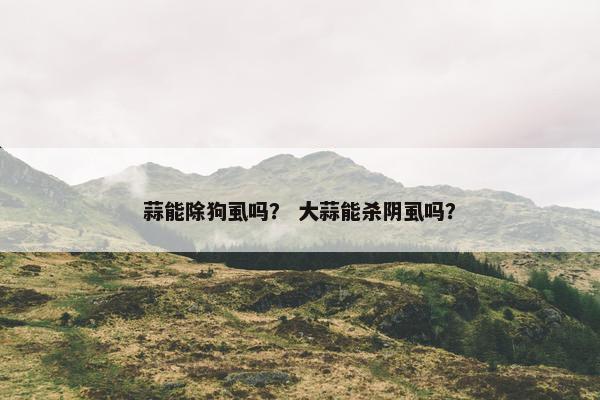 蒜能除狗虱吗？ 大蒜能杀阴虱吗？
