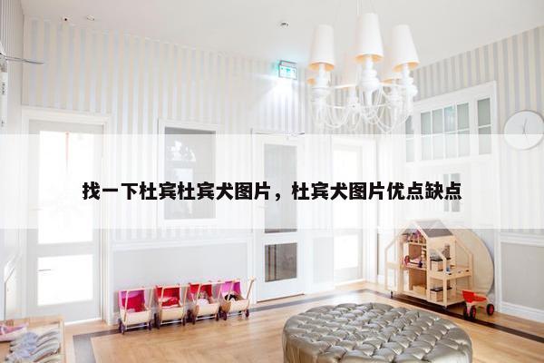 找一下杜宾杜宾犬图片，杜宾犬图片优点缺点