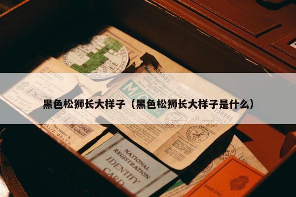 黑色松狮长大样子（黑色松狮长大样子是什么）