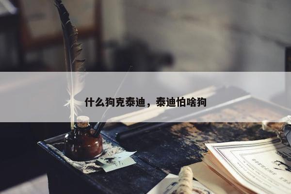 什么狗克泰迪，泰迪怕啥狗