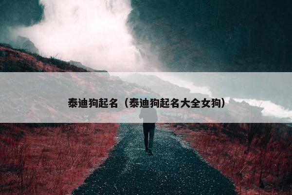 泰迪狗起名（泰迪狗起名大全女狗）