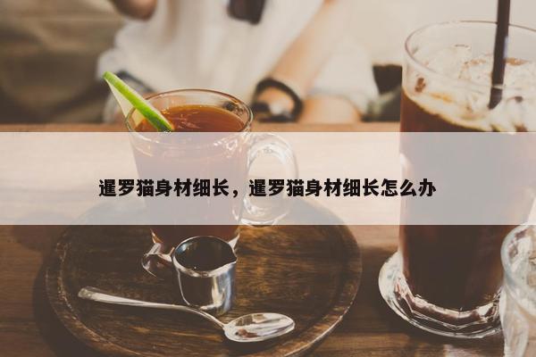 暹罗猫身材细长，暹罗猫身材细长怎么办