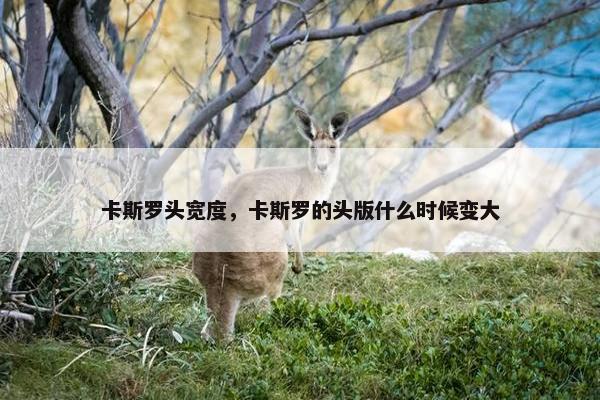 卡斯罗头宽度，卡斯罗的头版什么时候变大