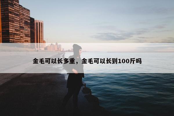 金毛可以长多重，金毛可以长到100斤吗