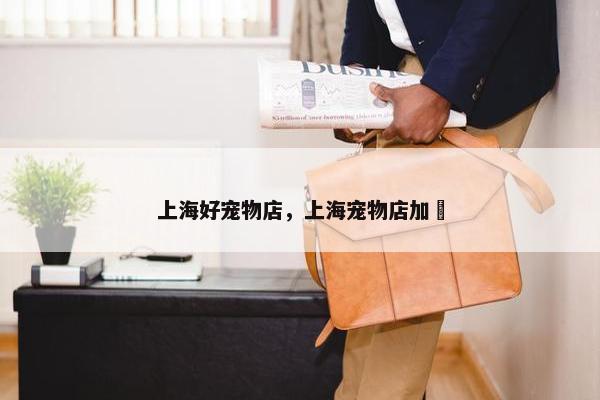 上海好宠物店，上海宠物店加盿