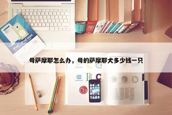 母萨摩耶怎么办，母的萨摩耶犬多少钱一只