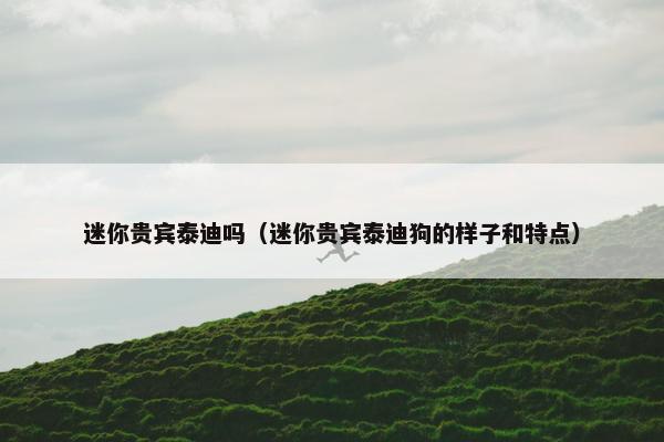 迷你贵宾泰迪吗（迷你贵宾泰迪狗的样子和特点）