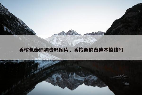 香槟色泰迪狗贵吗图片，香槟色的泰迪不值钱吗
