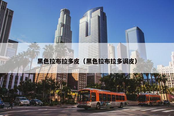 黑色拉布拉多皮（黑色拉布拉多调皮）