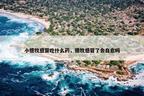 小德牧感冒吃什么药，德牧感冒了会自愈吗