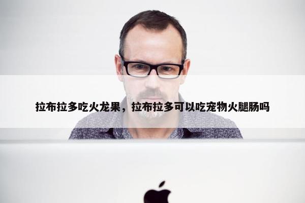 拉布拉多吃火龙果，拉布拉多可以吃宠物火腿肠吗