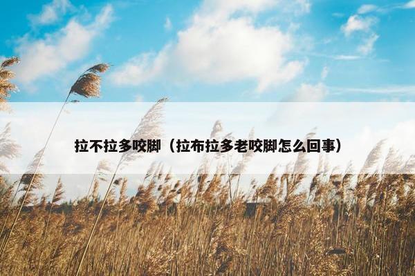 拉不拉多咬脚（拉布拉多老咬脚怎么回事）