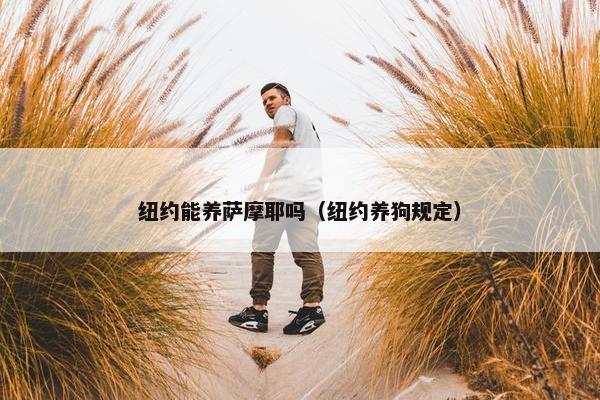 纽约能养萨摩耶吗（纽约养狗规定）