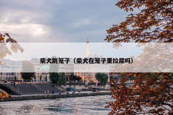 柴犬跳笼子（柴犬在笼子里拉尿吗）