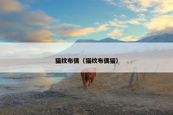 猫纹布偶（猫纹布偶猫）