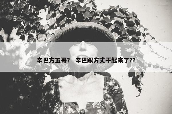 辛巴方五哥？ 辛巴跟方丈干起来了?？