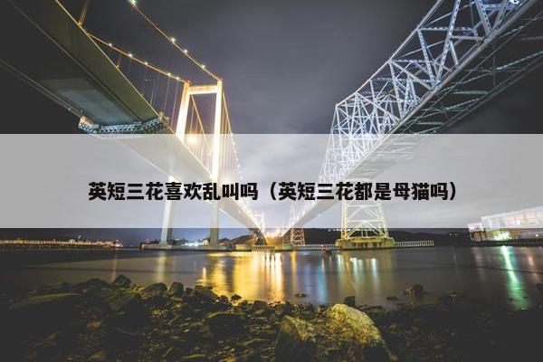 英短三花喜欢乱叫吗（英短三花都是母猫吗）