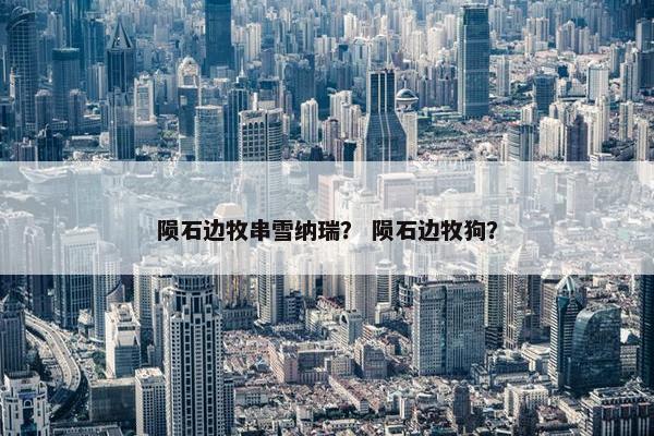 陨石边牧串雪纳瑞？ 陨石边牧狗？