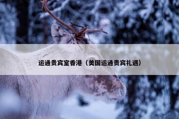 运通贵宾室香港（美国运通贵宾礼遇）