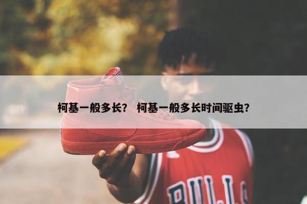 柯基一般多长？ 柯基一般多长时间驱虫？