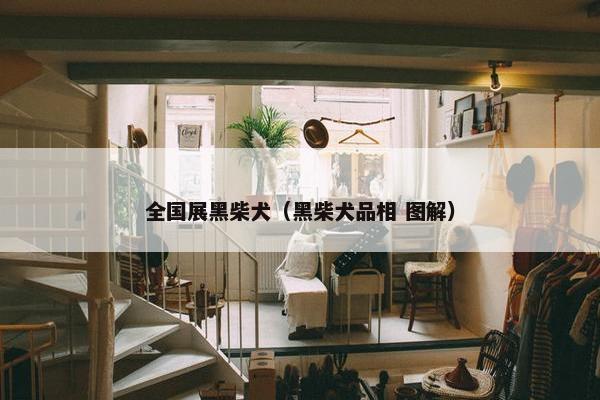 全国展黑柴犬（黑柴犬品相 图解）