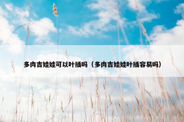 多肉吉娃娃可以叶插吗（多肉吉娃娃叶插容易吗）