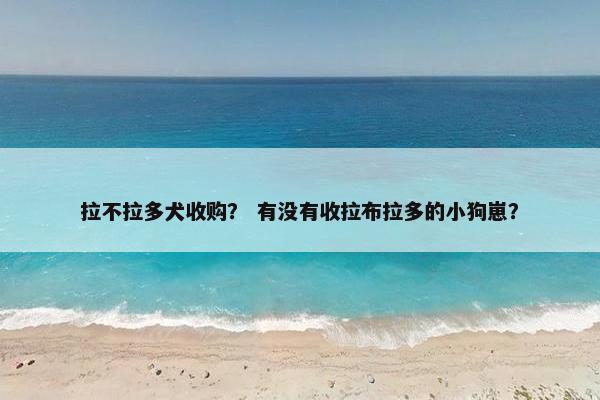 拉不拉多犬收购？ 有没有收拉布拉多的小狗崽？