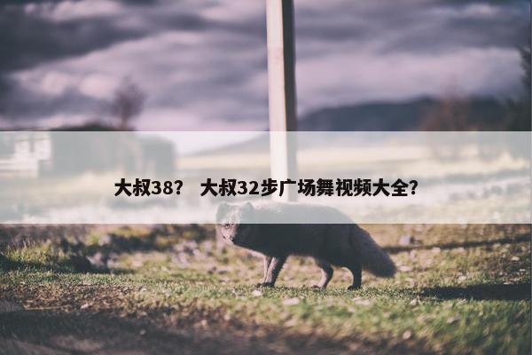 大叔38？ 大叔32步广场舞视频大全？