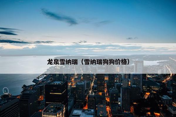 龙泉雪纳瑞（雪纳瑞狗狗价格）