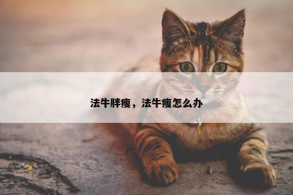 法牛胖瘦，法牛瘦怎么办