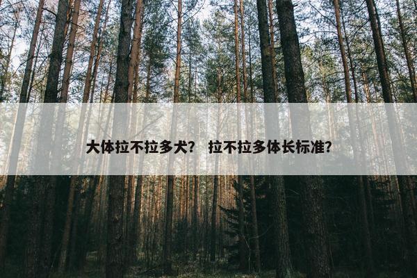 大体拉不拉多犬？ 拉不拉多体长标准？