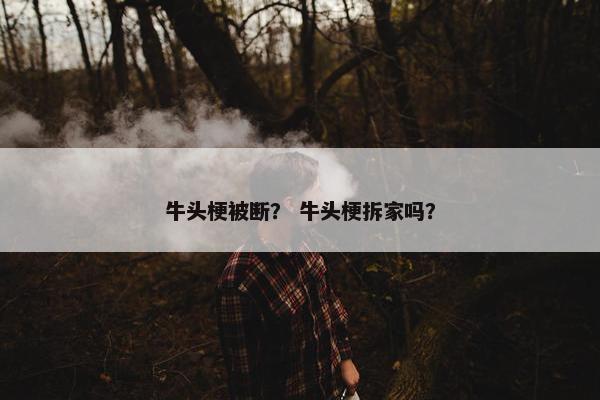 牛头梗被断？ 牛头梗拆家吗？