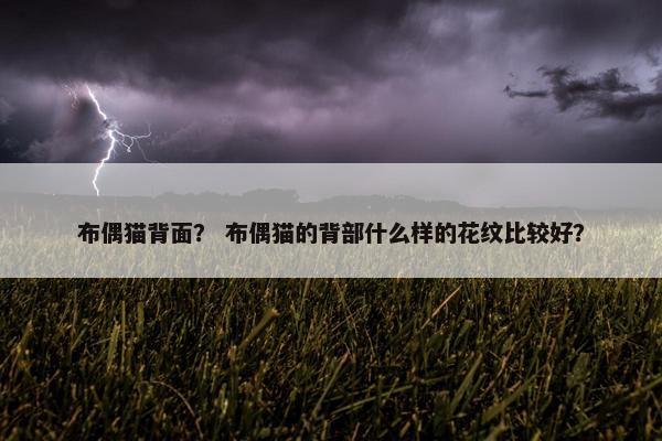 布偶猫背面？ 布偶猫的背部什么样的花纹比较好？