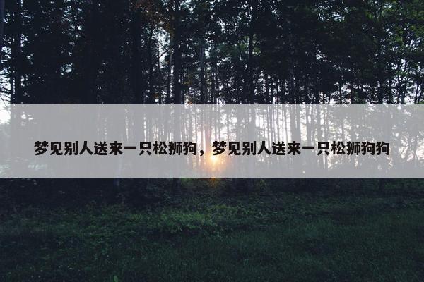 梦见别人送来一只松狮狗，梦见别人送来一只松狮狗狗